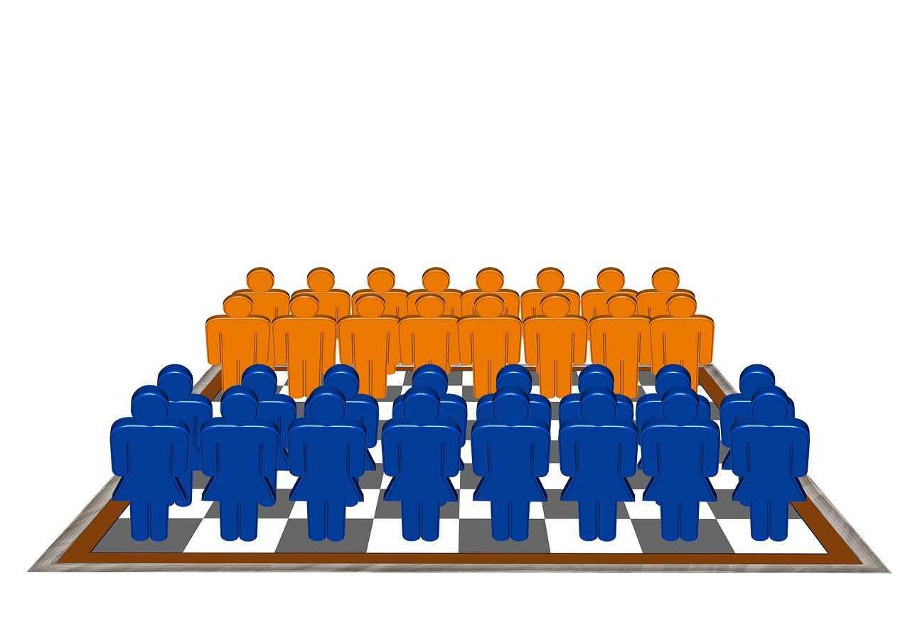 woman-77275_1280 Vastlegging governance verzekeraars kan beter