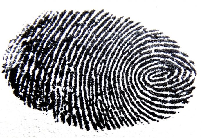 fingerprint-456483_1280 inloggen met vingerafdruk bij SNS