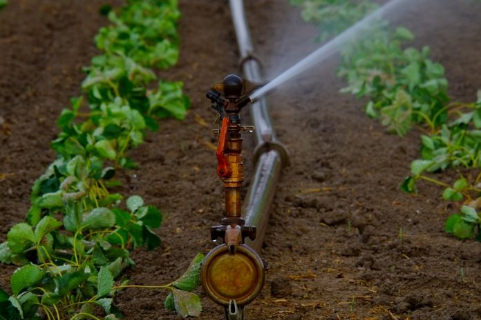 water-sprinklers-880970_960_720