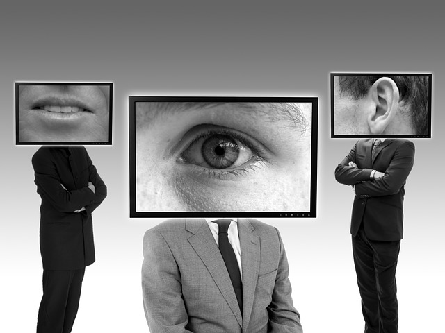privacy-policy-1624400_640 Verzekeraar doet politiewerk bij aanbrengen fraude voor rechter