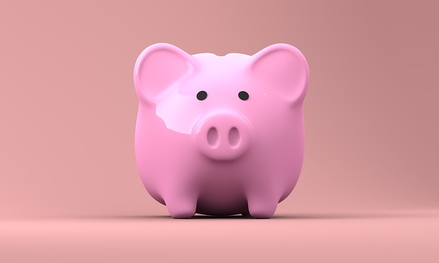 piggy-bank-2889042_640 mijngeldzaken.nl biedt nu ook vergelijking met nibud