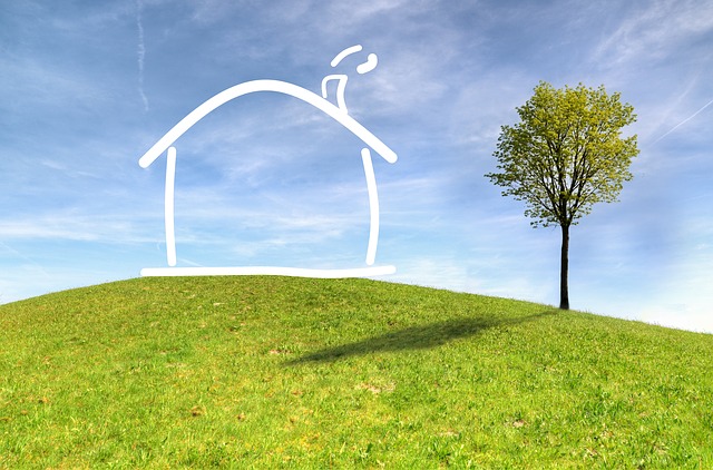 grass-g7cdcdf502_640 De Hypotheker verwacht slechts lichte rentestijging